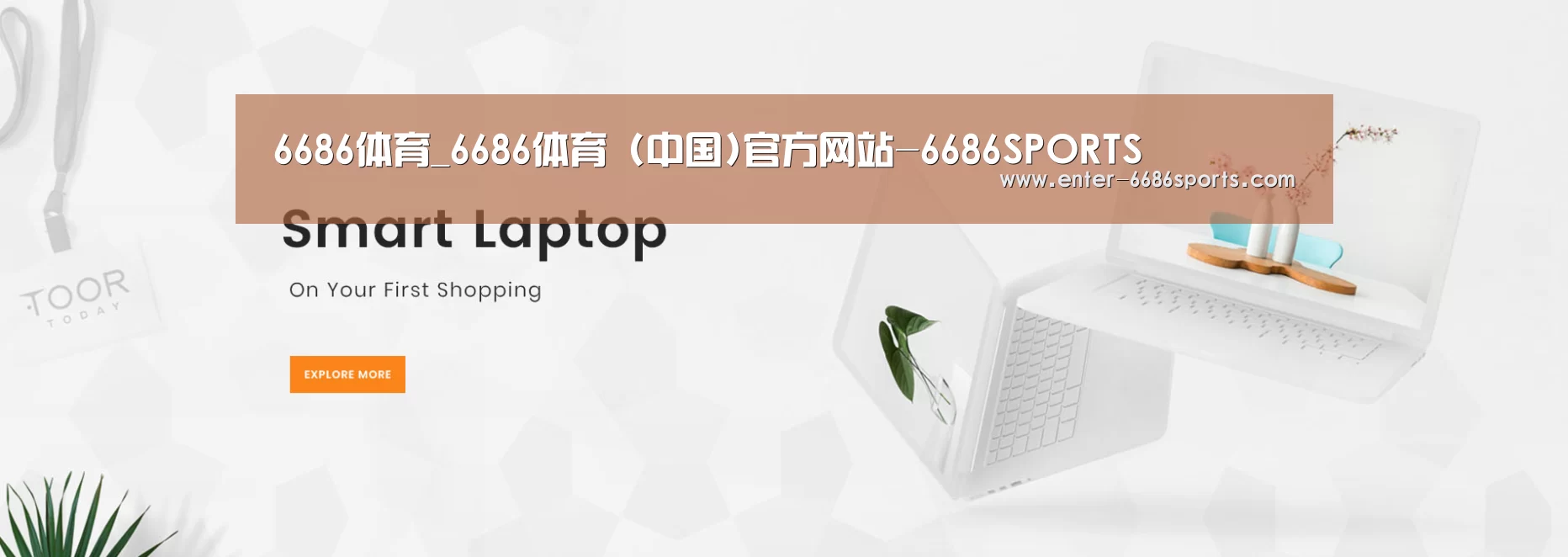 某某网络科技有限公司