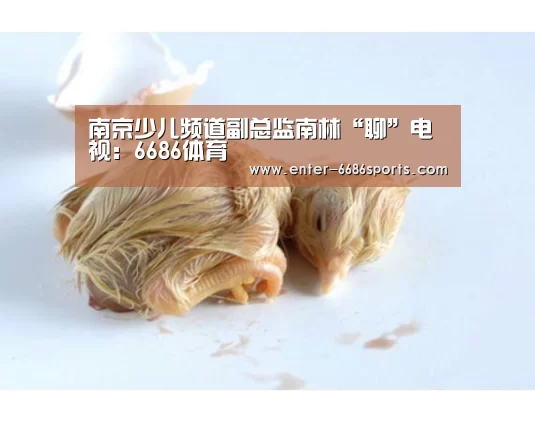 南京少儿频道副总监南林“聊”电视:6686体育(图4) 6686体育