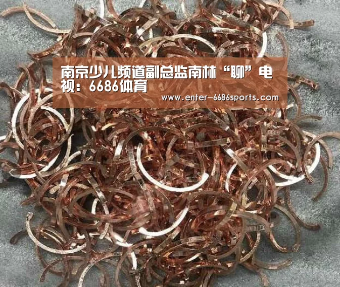 南京少儿频道副总监南林“聊”电视:6686体育(图3) 6686体育